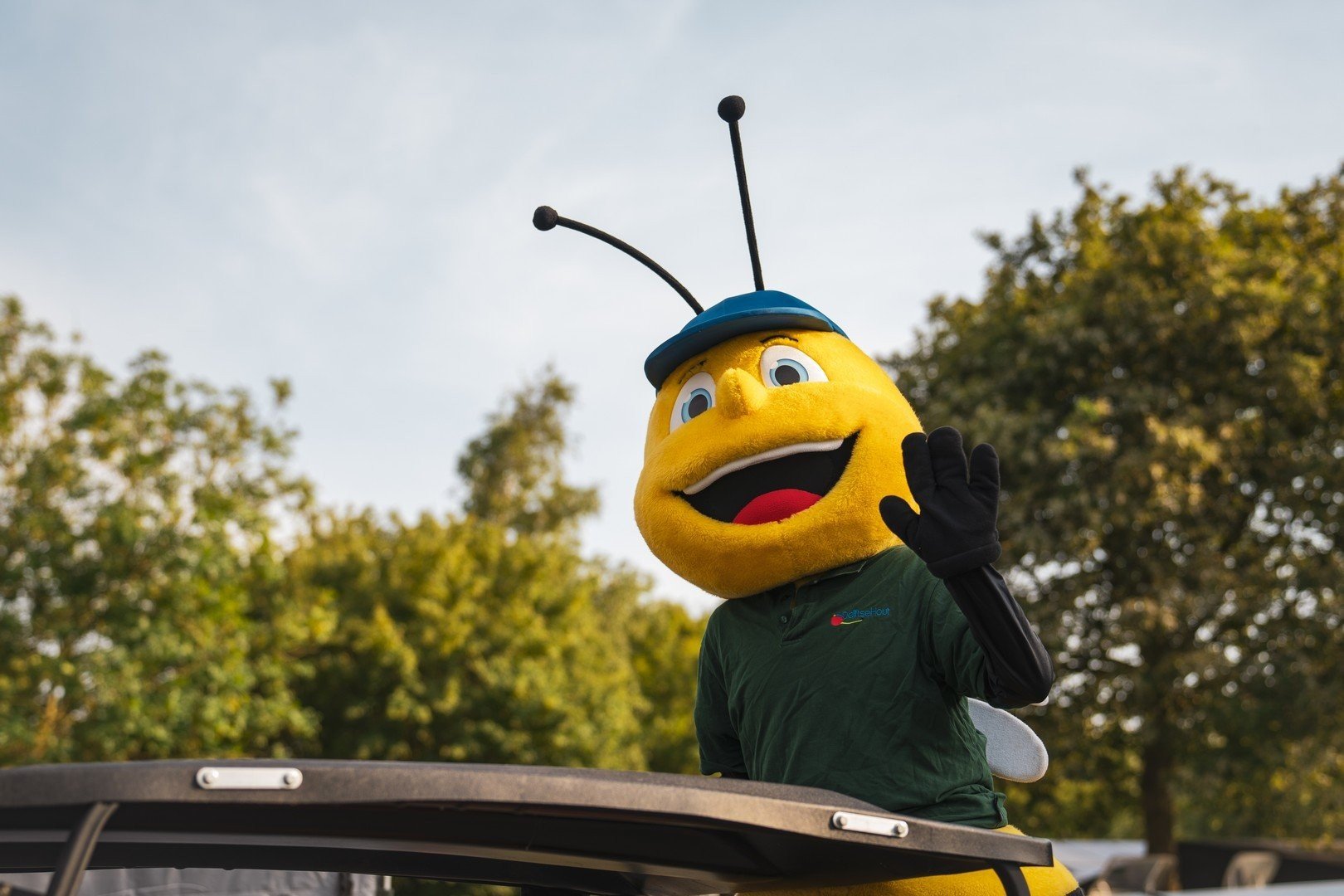 Animatie delftse hout 25