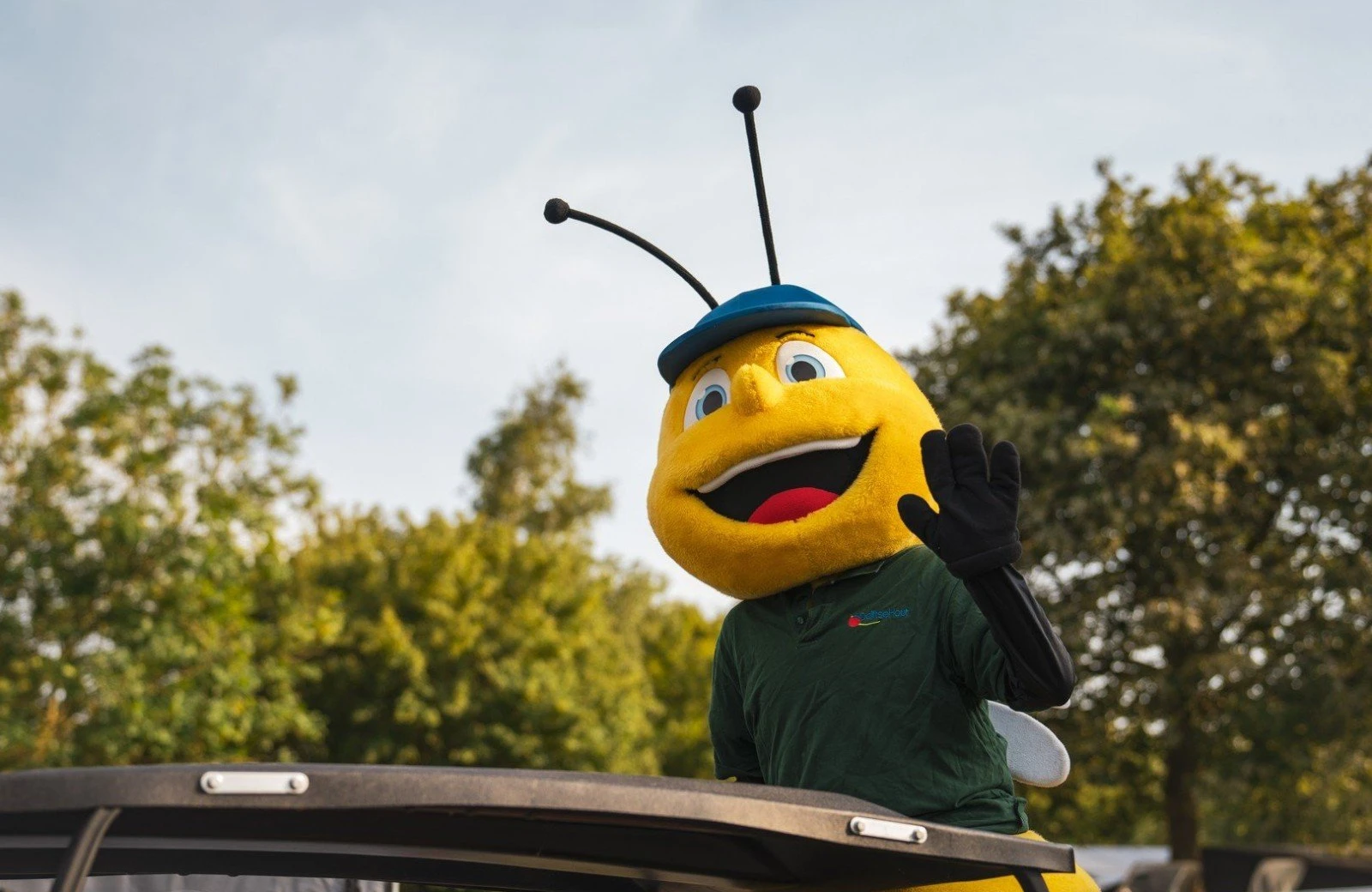 Animatie delftse hout 25