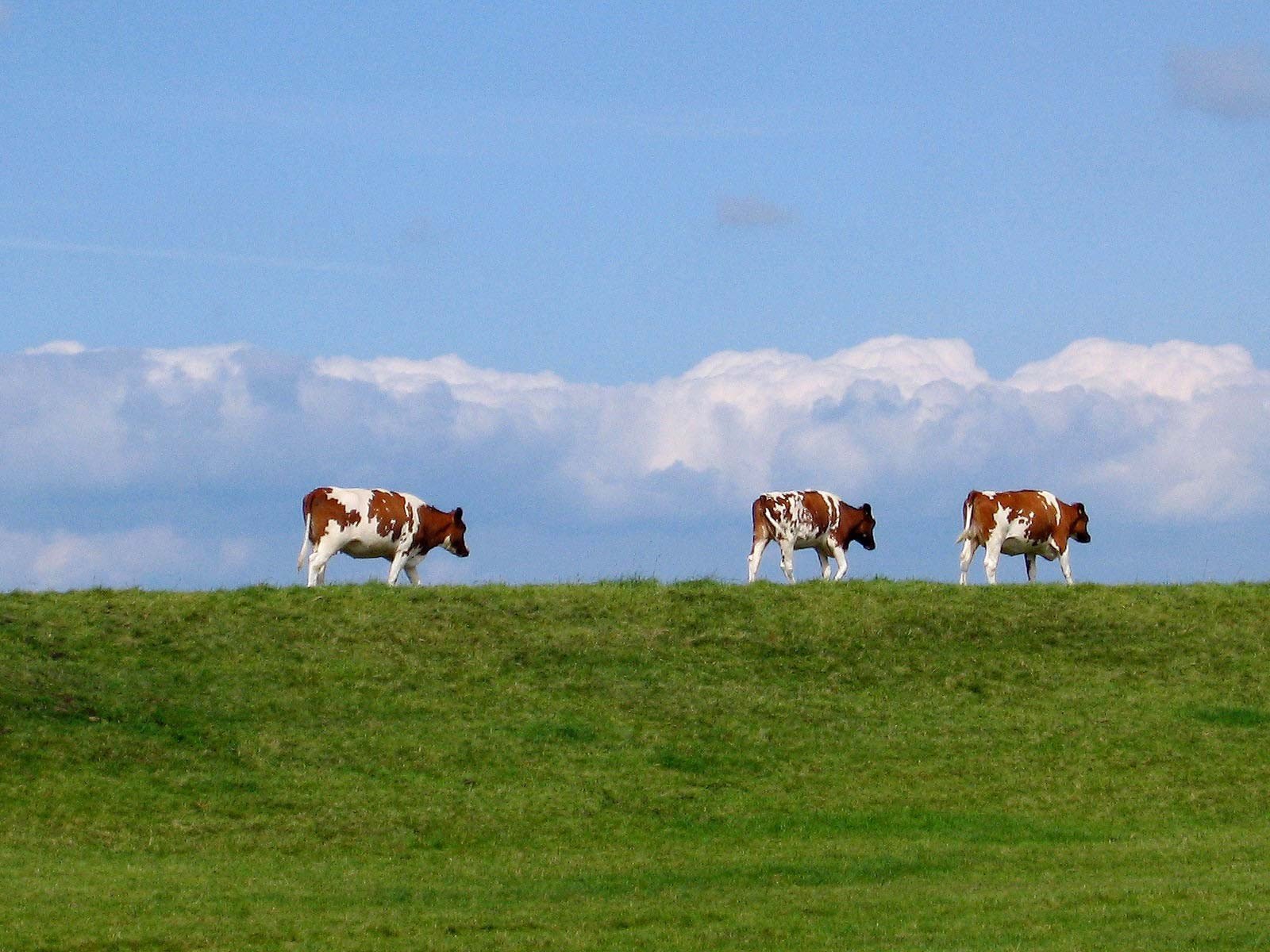 Acker- Biesland-Radroute