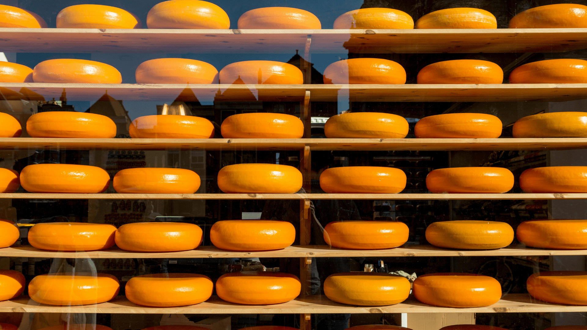 Gouda