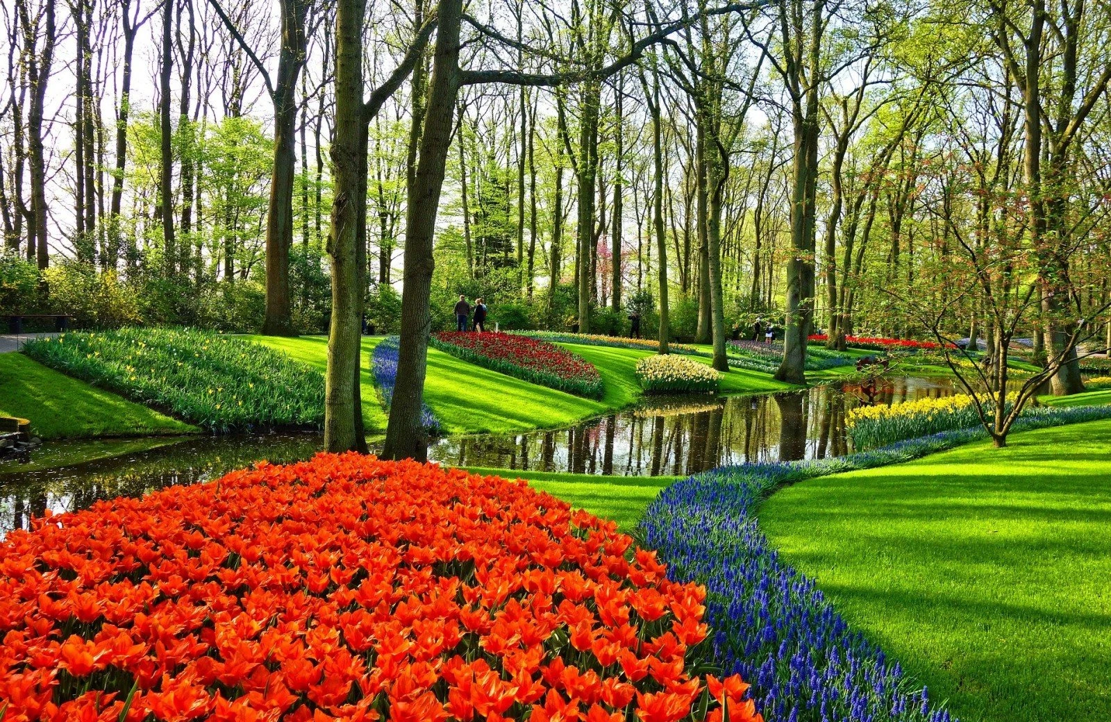 Keukenhof 2